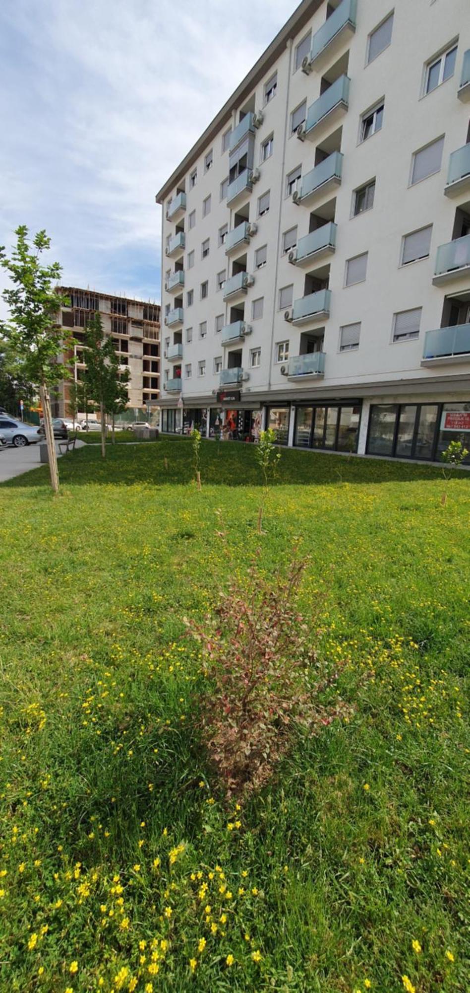 Apartamento Odmor U Podgorici. Podgorica Exterior foto